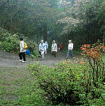 イメージ（函館山の動植物との出会いを楽しむ市民は多い）