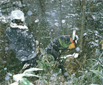 （07）