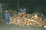 （08）