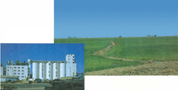イメージ（米国・カルフォルニアの稲作地帯と米の貯蔵施設）