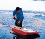 イメージ（酷寒のなか、腰まで水に浸かりながら給餌をする“白鳥おじさん”）