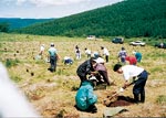 イメージ（置戸町での植林（1990年））