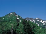 イメージ（ナキウサギの生息地　大雪山・黒岳）