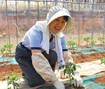 イメージ（「植物が育っているのを見るのは楽しい」とあき子さん）