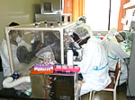 イメージ（ザンビア大学獣医学部は北大の全面協力で発足した（以下 人獣センター提供））